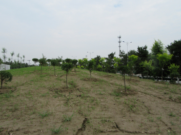 photo 1355564
