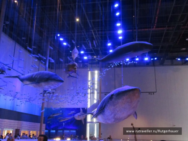 photo 1437620