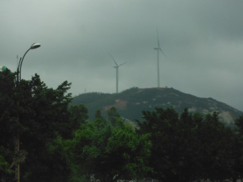 photo 1445744