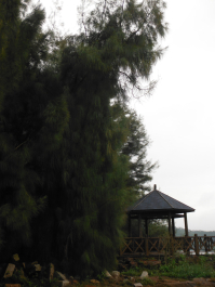 photo 1217720