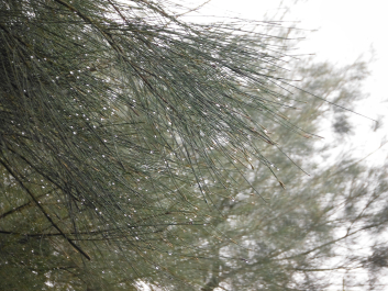 photo 1217724