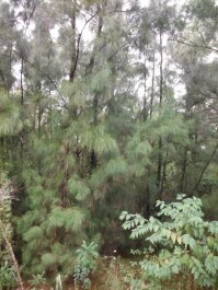 photo 1407770
