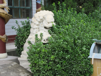 photo 1356547