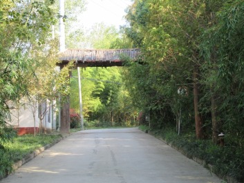 photo 1400921