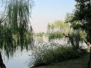 photo 1446114