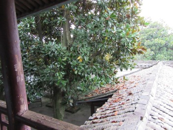 photo 1434816