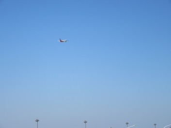 photo 1413876