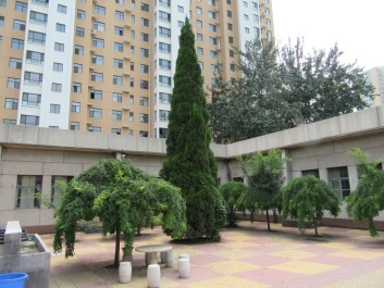 photo 1436773