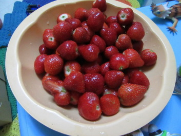 photo 1440082