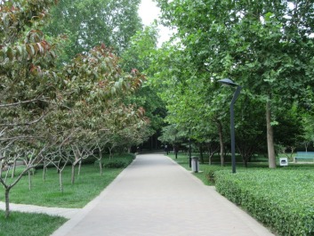 photo 1401752