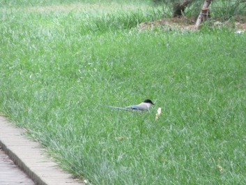 photo 1408206