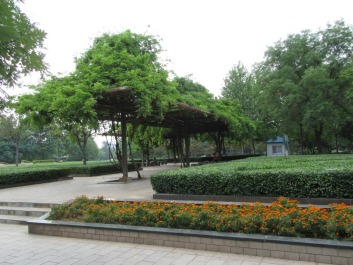 photo 1445745