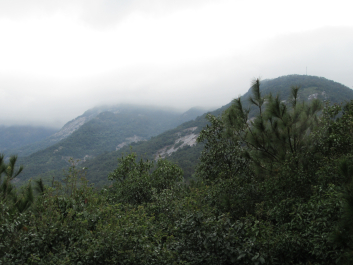 photo 1410664