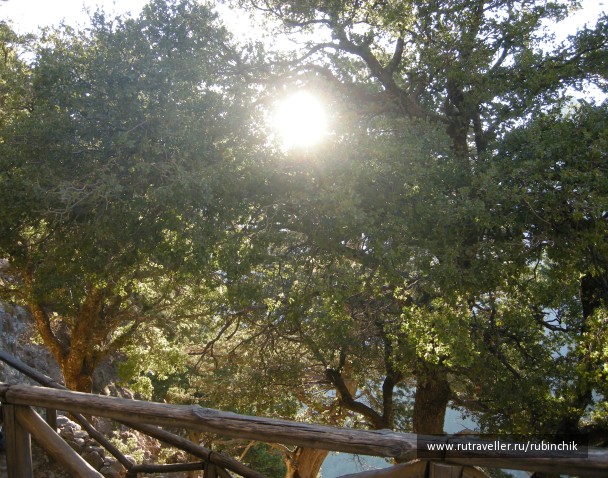 photo 571111