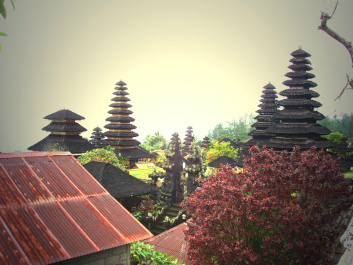 photo 274526