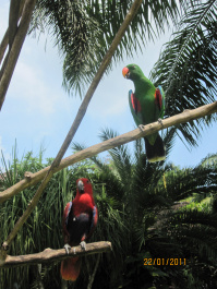 photo 277627