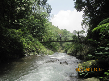 photo 282352