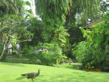 photo 282356