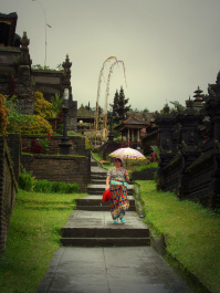 photo 286548