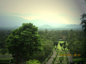 photo 286715