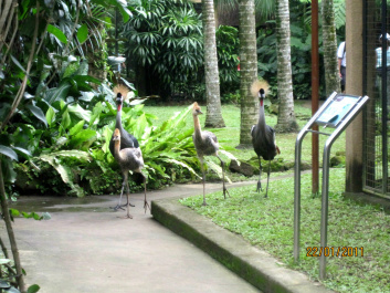 photo 286938