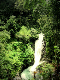 photo 286941