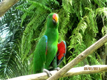 photo 293929