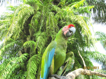 photo 293930