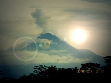 photo 294692