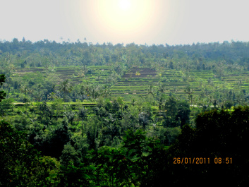 photo 333816