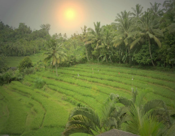 photo 363763