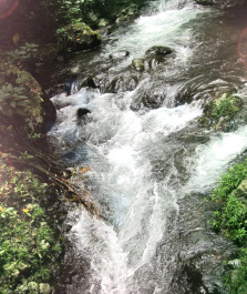 photo 401875