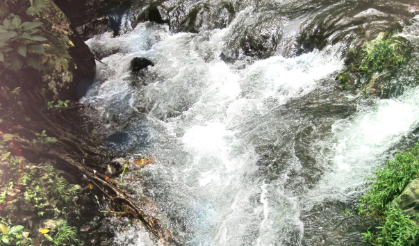 Бали2011 253