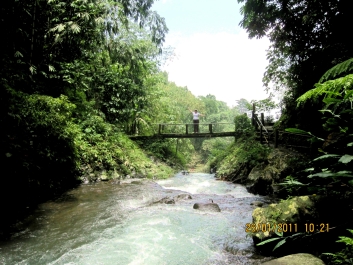 photo 465315