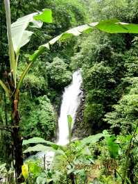 photo 465385