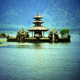 photo 465426