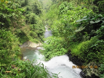 photo 465557