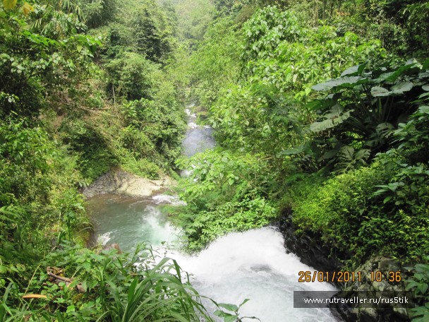 photo 465557