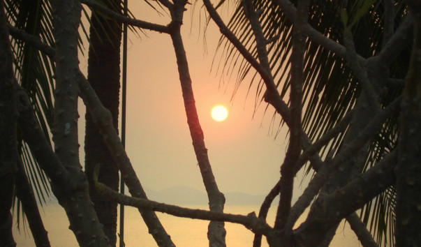P2010235