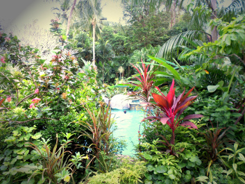 photo 284779