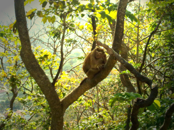 photo 286469
