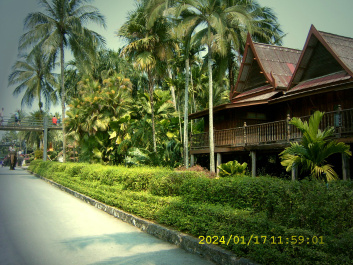 photo 289882