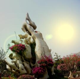 photo 358769
