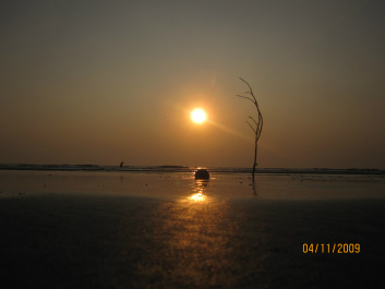 photo 236548