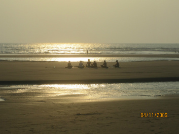 photo 277393