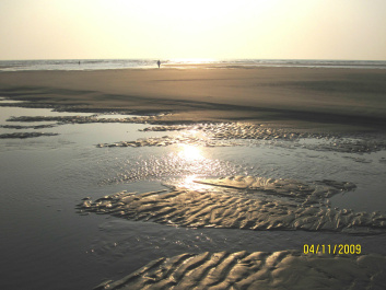 photo 299556