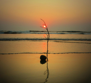 photo 403752