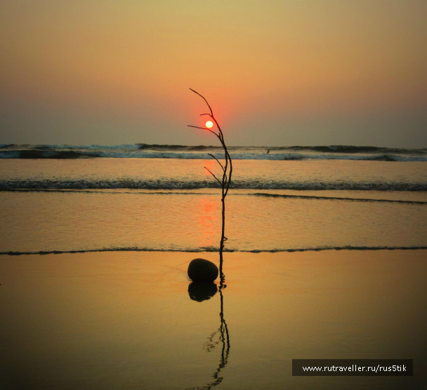 photo 403752