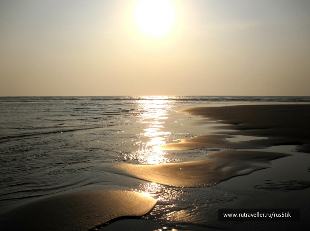 photo 451990