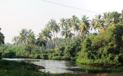 photo 460867